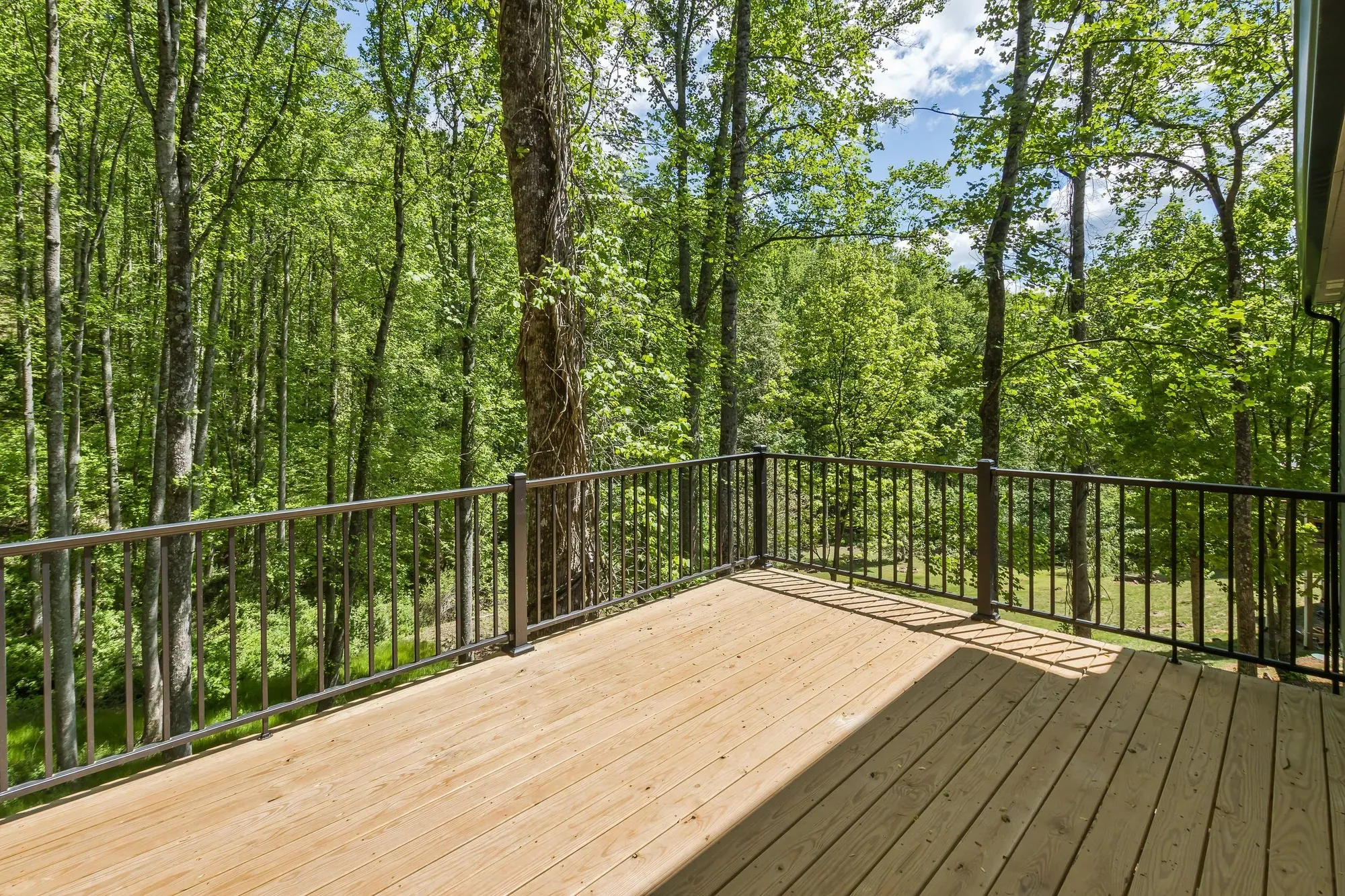 Rear deck looking into hardwood forest at a new custom home in Candler, NC, built by Buckingham Builders